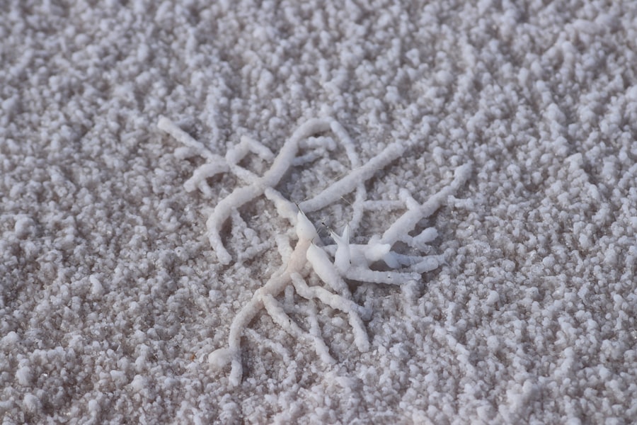 Photo carpet cleaning Melton