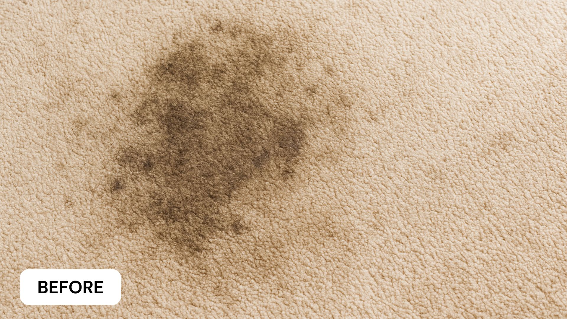 Carpet Cleaning in Melbourne — Before Service | AttoProperty Professional Steam Cleaners Dirty stained carpet before professional steam cleaning by AttoProperty Cleaning Services in Melbourne — visible dust, grime, and deep soil on high-traffic carpet area prior to treatment.