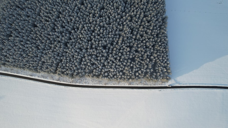 Carpet Steam Cleaning