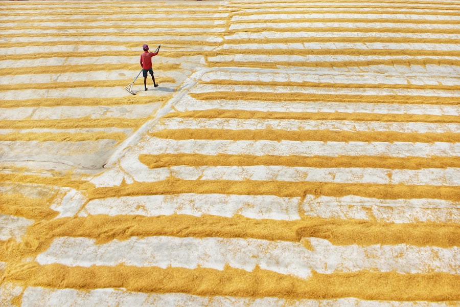 mattress cleaning
