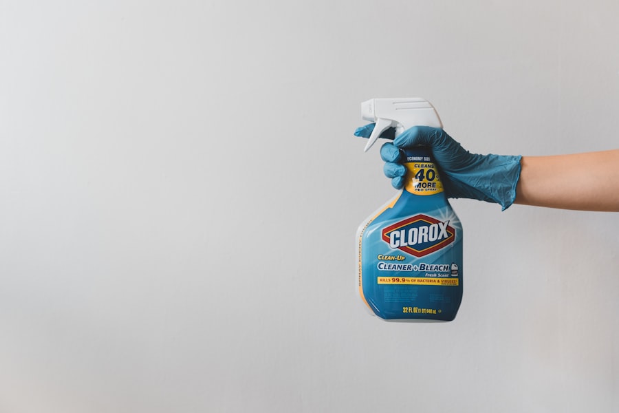 Photo professional cleaning 
