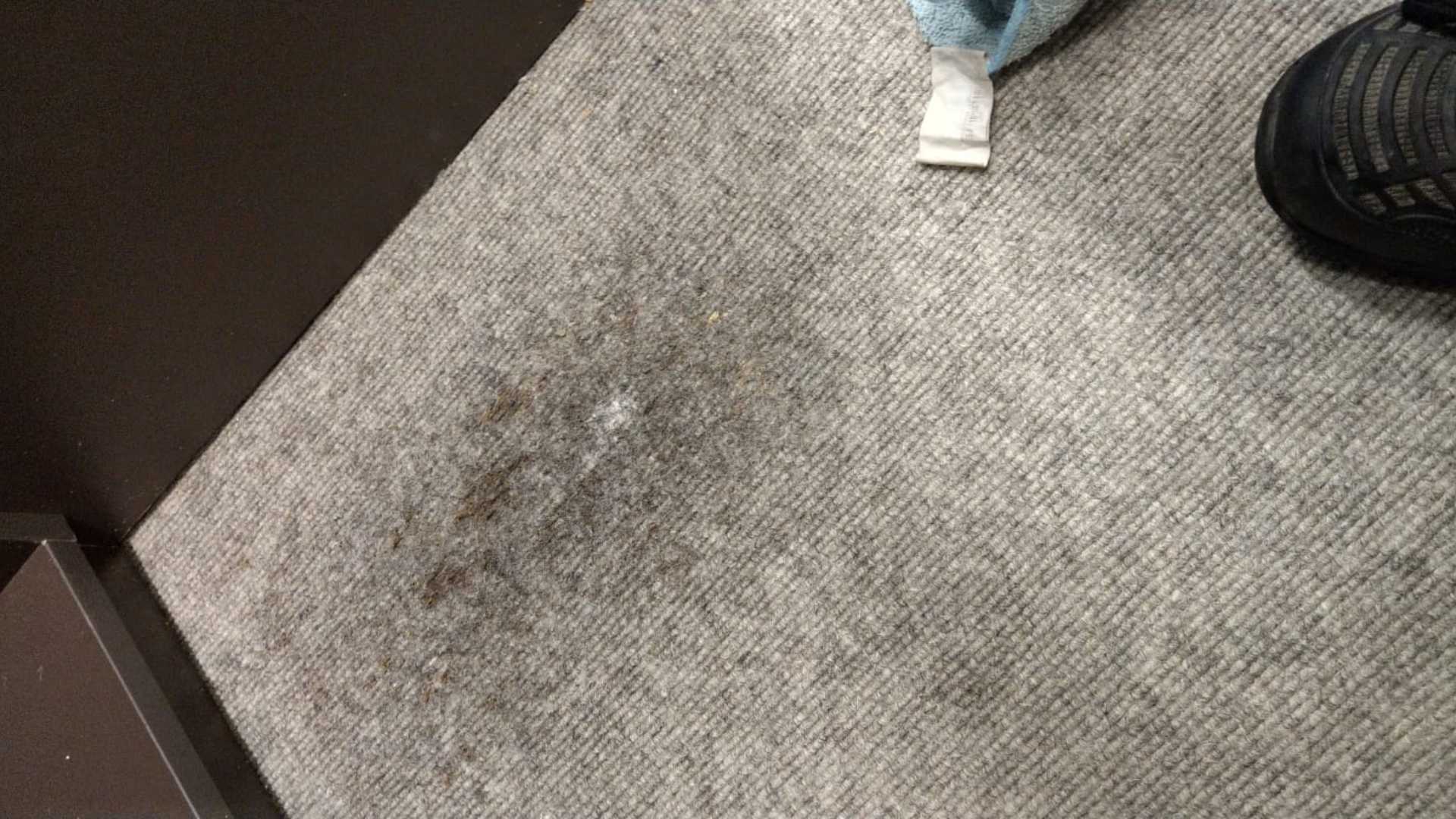 Bonnet Cleaning Before Bonnet Cleaning Before